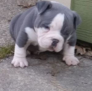 Meet your Posher, Deroy